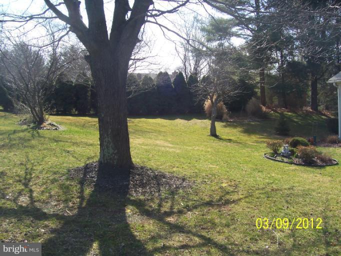 1202 Peachtree Road Fallston, MD 21047 - Photo 30 of 30 a view of a yard with an trees