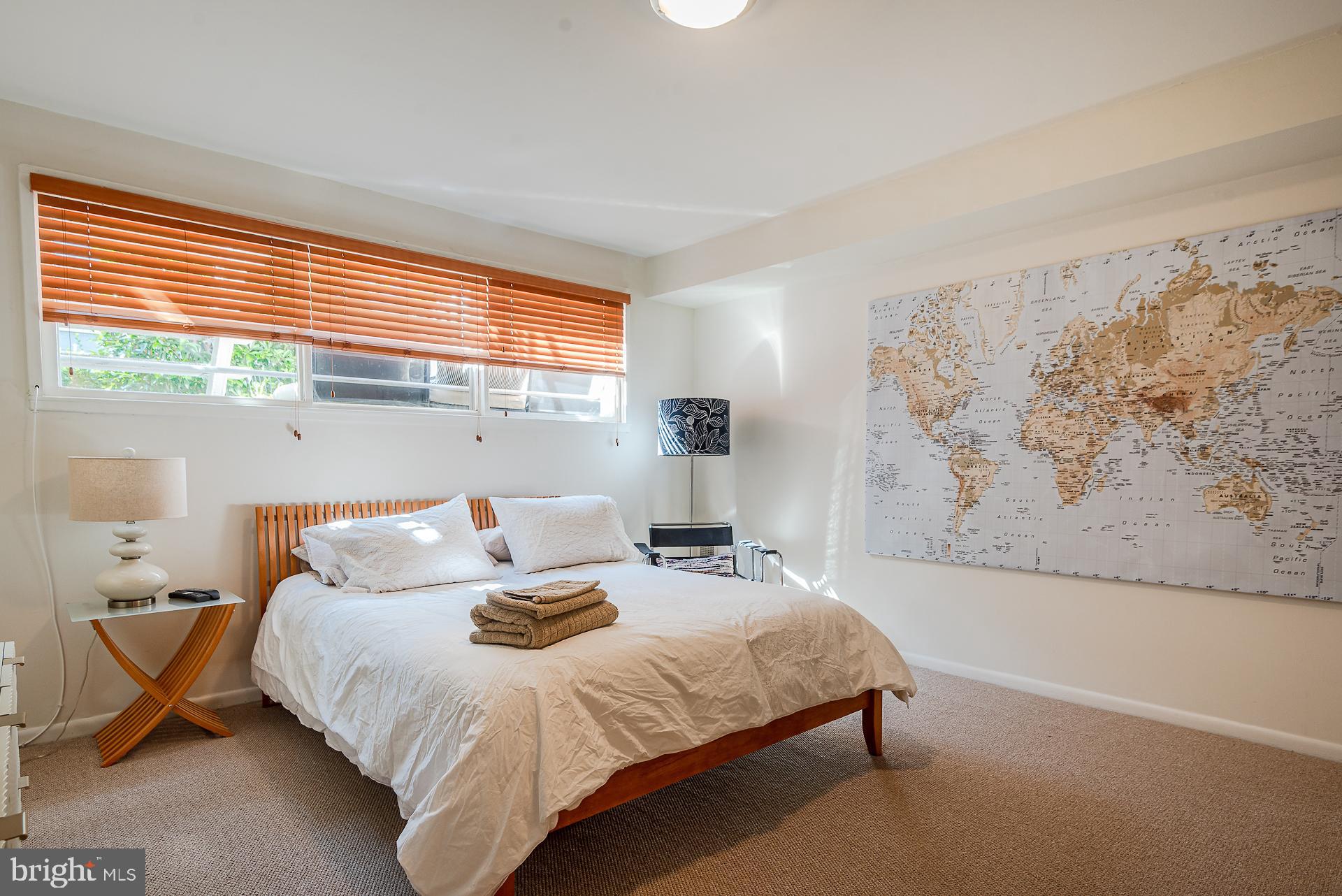 213 G Street Southwest, Unit 132 Washington, DC 20024 - Photo 22 of 27 Carpet in lower level bedroom (2023)