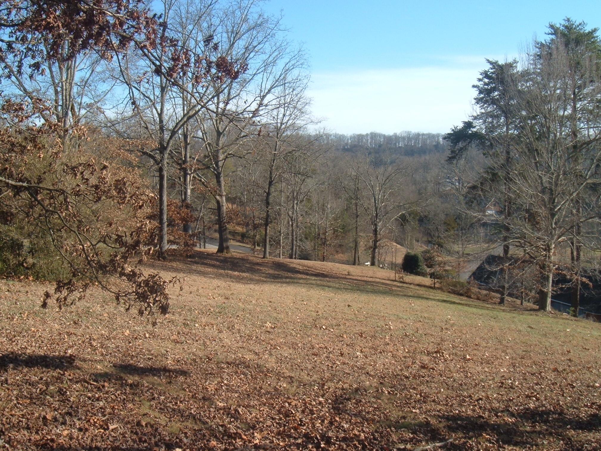 Fairway Athens, TN 37303 - Photo 5 of 11 Fairway 008