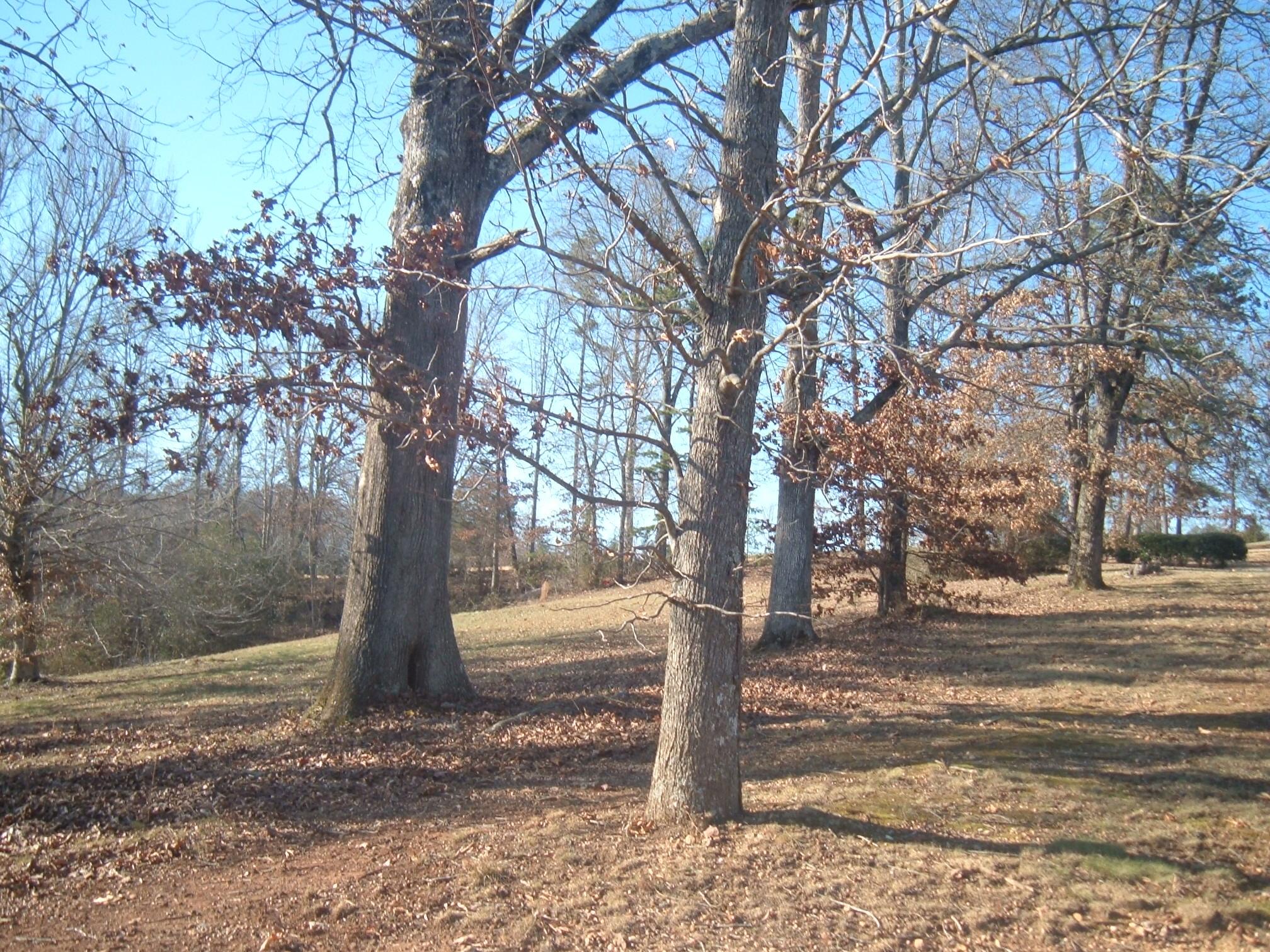 Fairway Athens, TN 37303 - Photo 8 of 11 Fairway 005