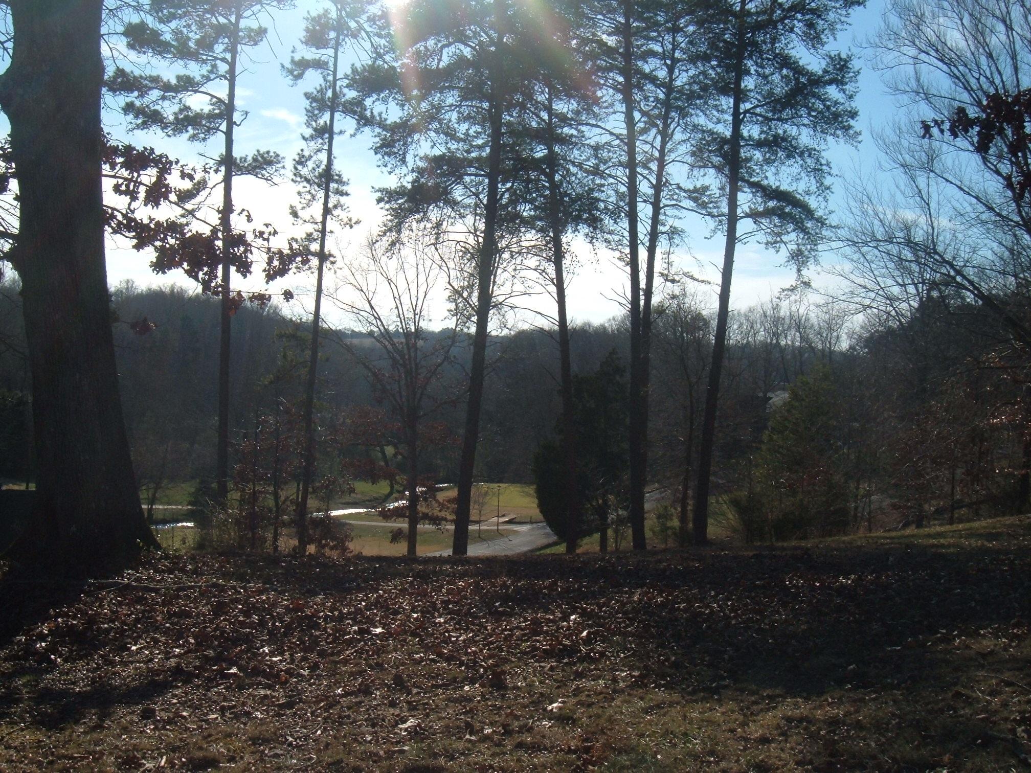 Fairway Athens, TN 37303 - Photo 10 of 11 Fairway 003