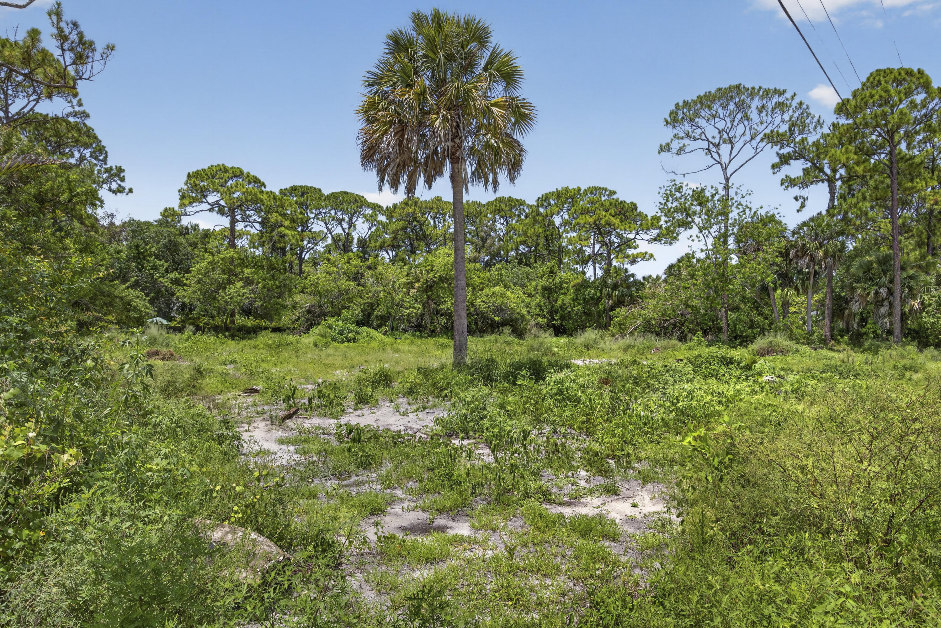 17072 93rd Road North The Acreage, FL 33470 - Photo 13 of 22 BS1A9374