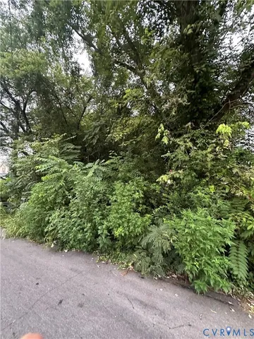 a view of a plants with yard