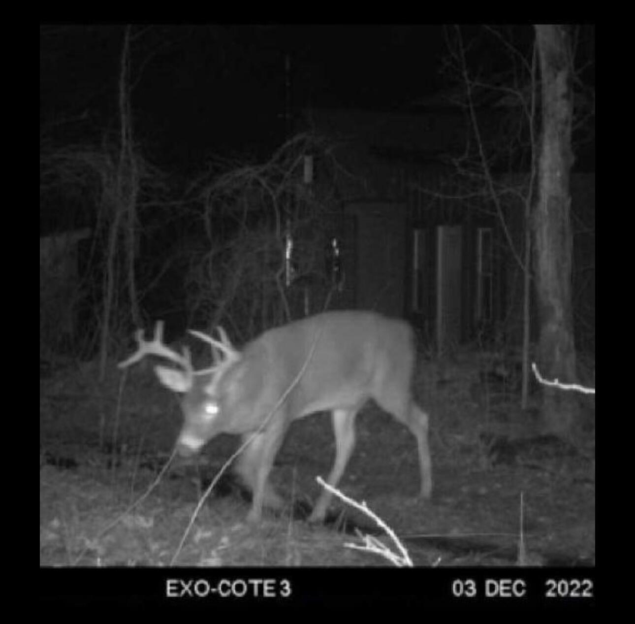 608 Adams Road Chesterville, ME 04938 - Photo 43 of 46