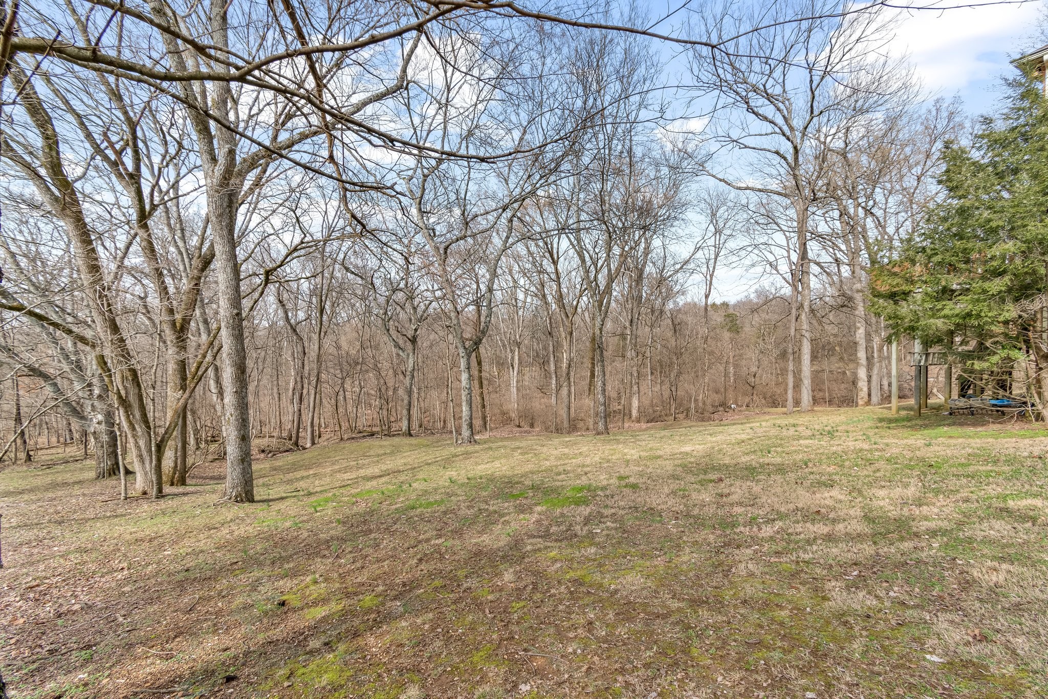 4259 Warren Road Franklin, TN 37067 - Photo 53 of 53 a backyard of a house with large trees