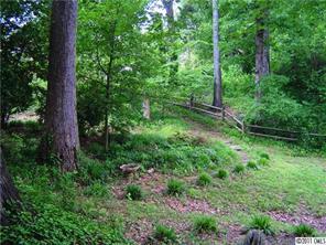 3922 Fellsway Road Charlotte, NC 28209 - Photo 13 of 16 a view of a lush green forest
