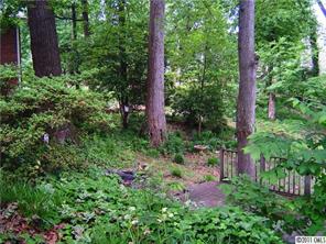 3922 Fellsway Road Charlotte, NC 28209 - Photo 14 of 16 a backyard of a house with lots of green space and fountain