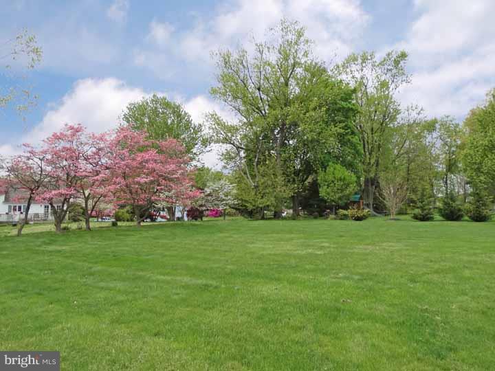 1623 Dublin Road Dresher, PA 19025 - Photo 21 of 21 View in Back