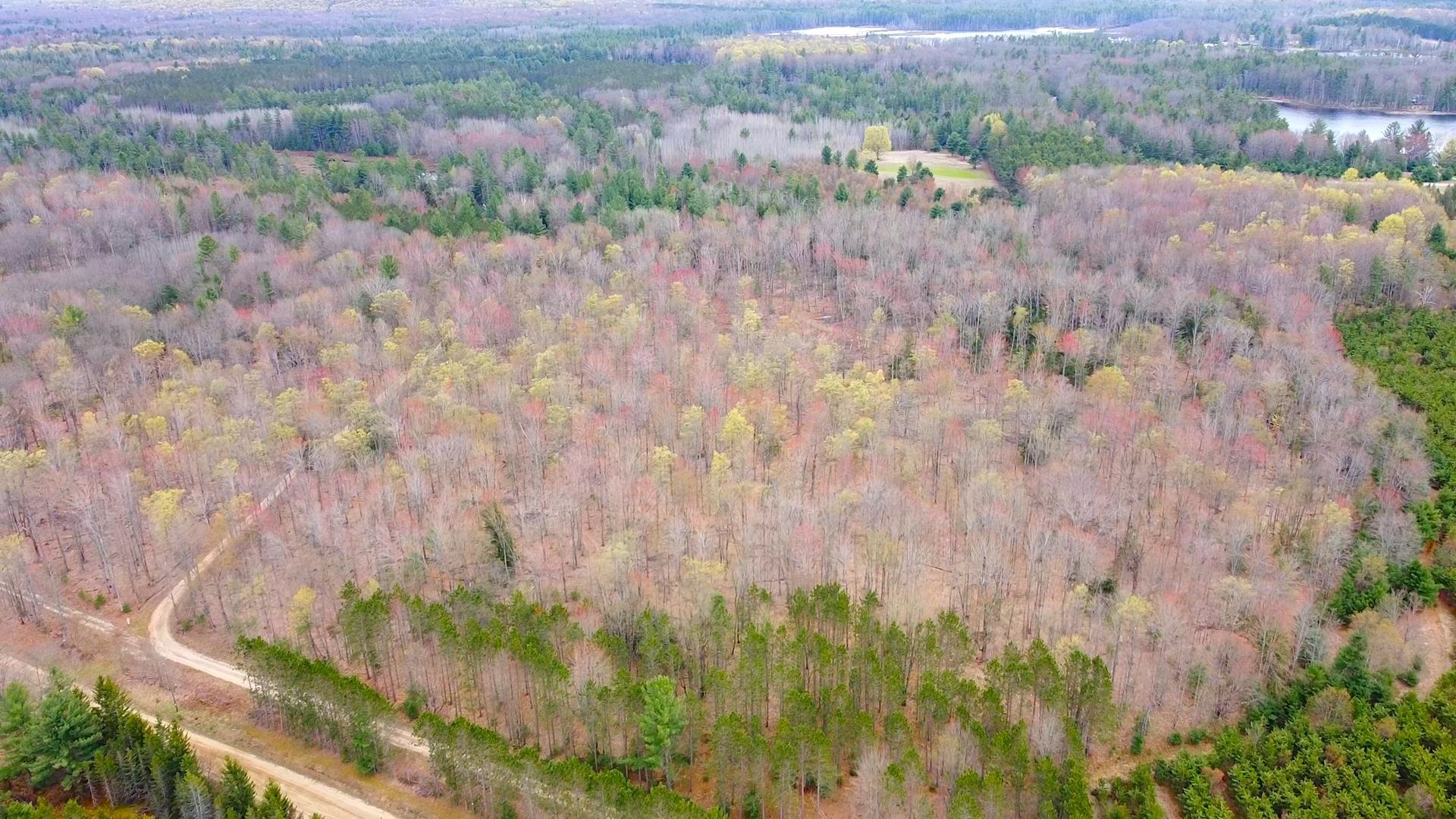 Southeast Spencer Road Southeast Kalkaska, MI 49646 - Photo 18 of 36