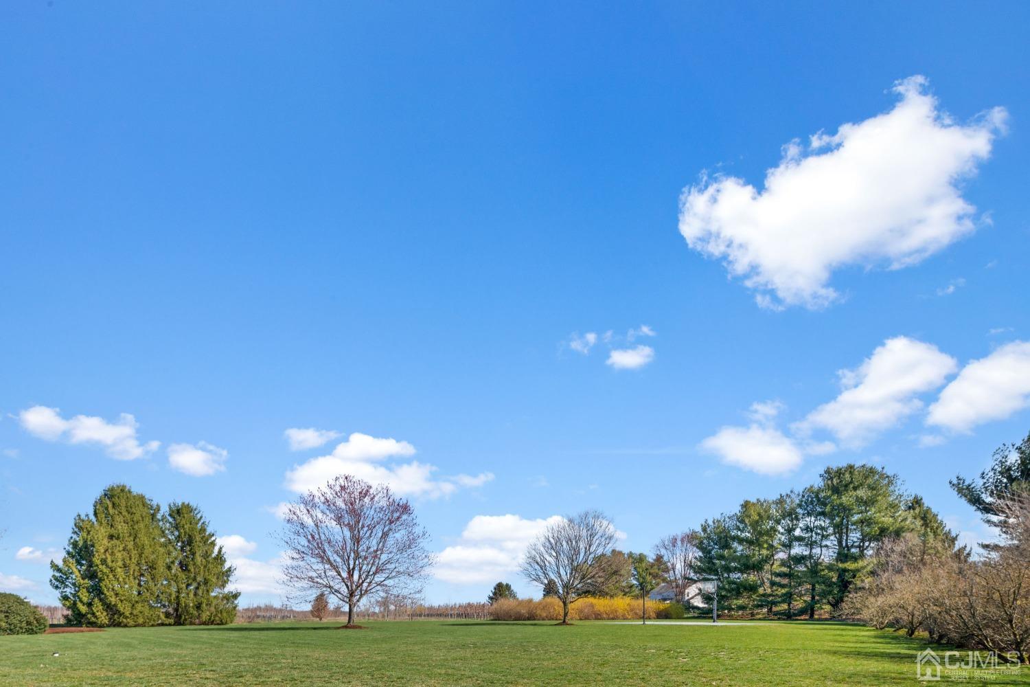 5 Parkview Road Cranbury, NJ 08512 - Photo 42 of 46 Gallery Image 42