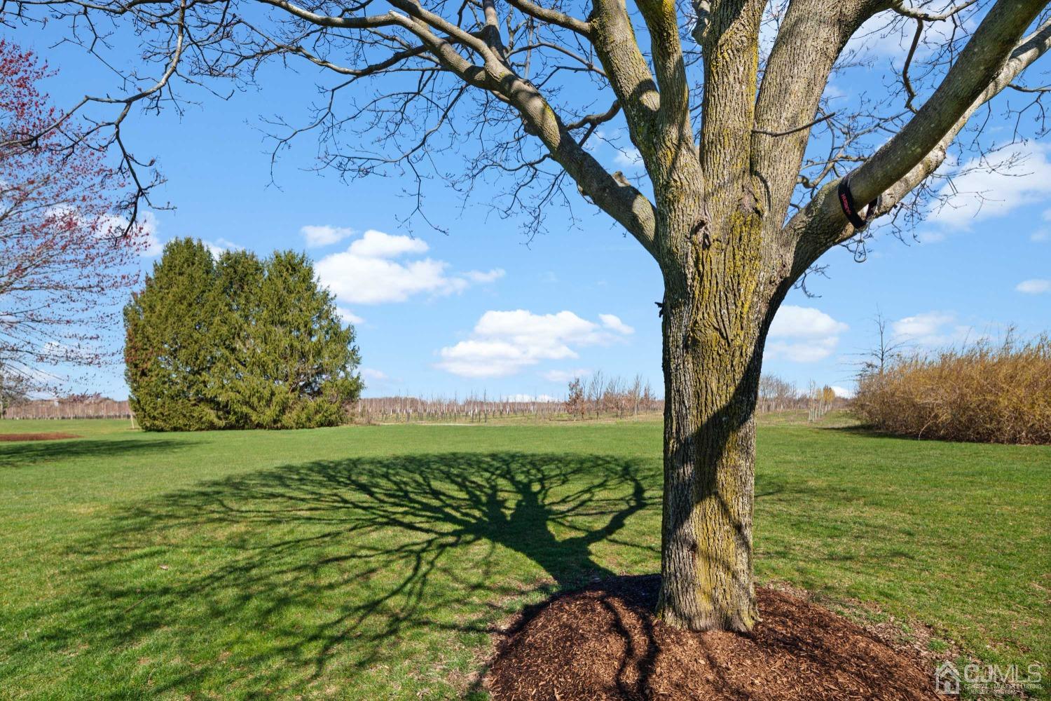 5 Parkview Road Cranbury, NJ 08512 - Photo 45 of 46 Gallery Image 45