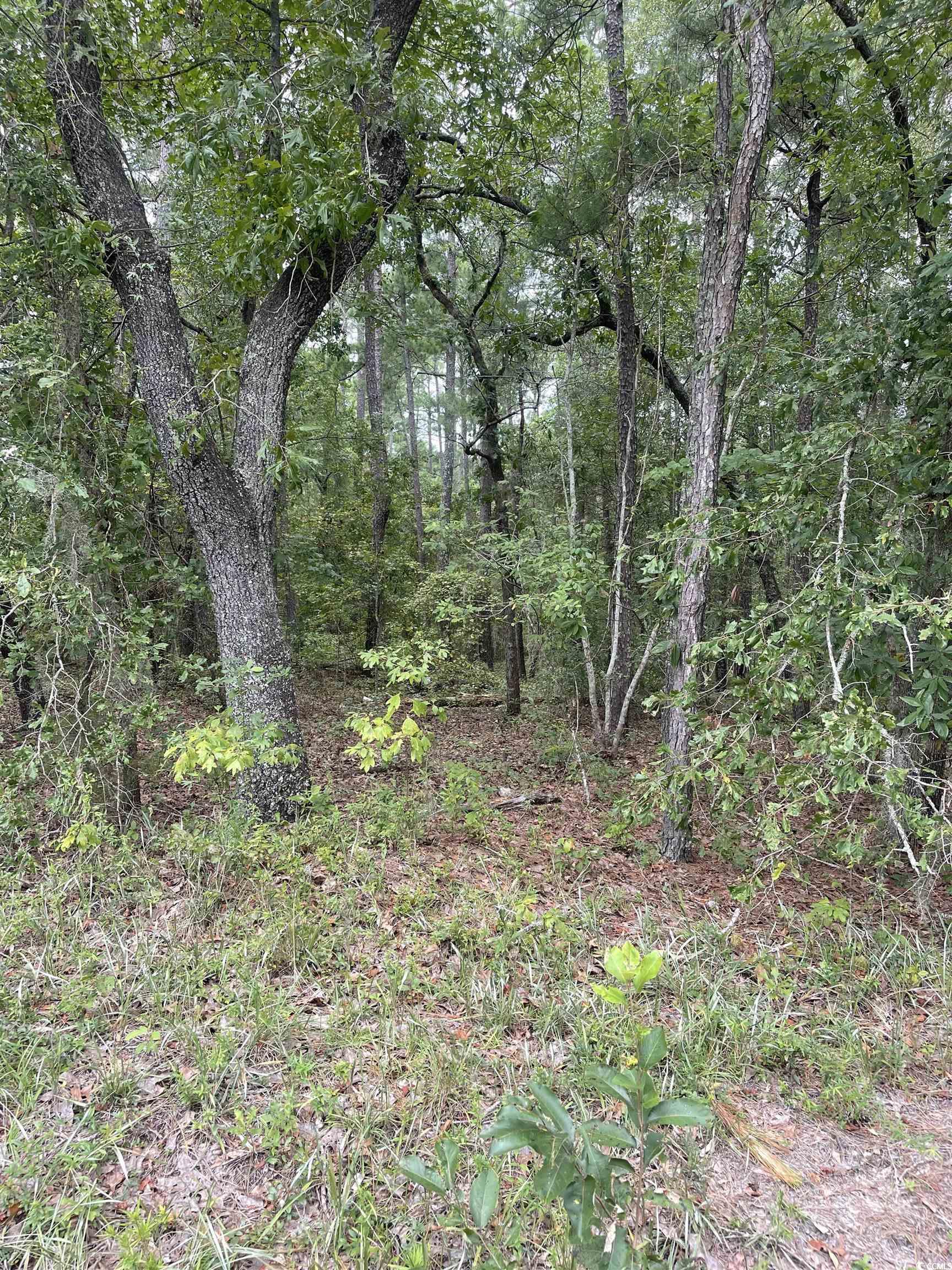 2 Hampton Road Conway, SC 29527 - Photo 1 of 8 View of nature