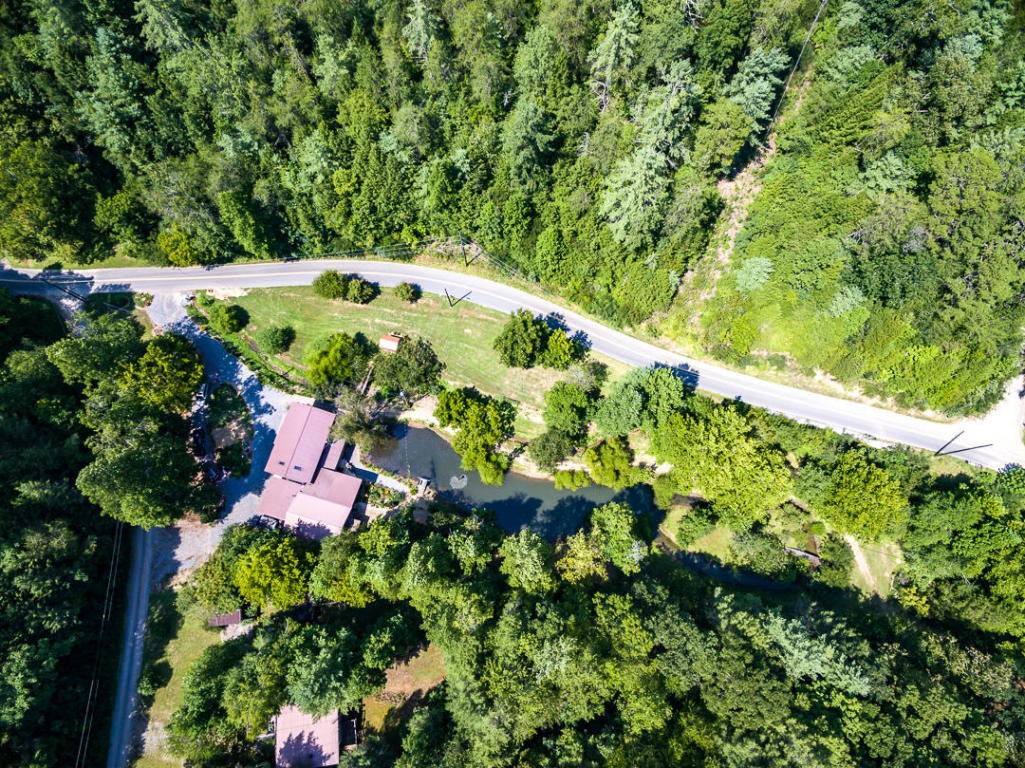4142 Wilhite Road Sevierville, TN 37876 - Photo 33 of 33 a picture of trees