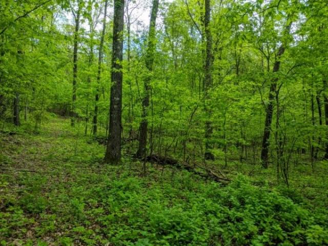 2311 River Road Kingston, TN 37763 - Photo 3 of 6 listings3
