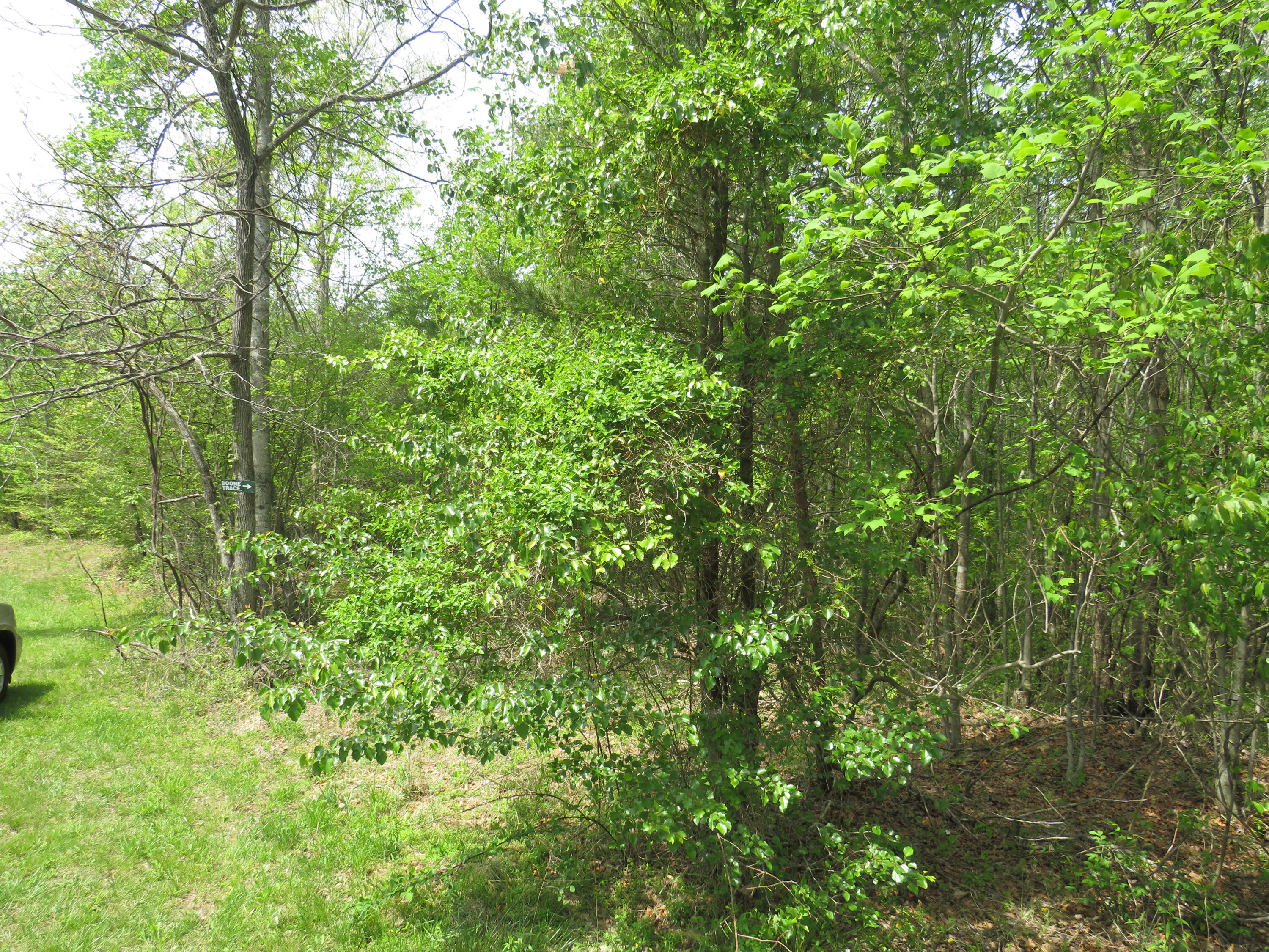 378 Walnut Road Lily, KY 40740 - Photo 2 of 33 IMG_1725 - Copy (2) - Copy