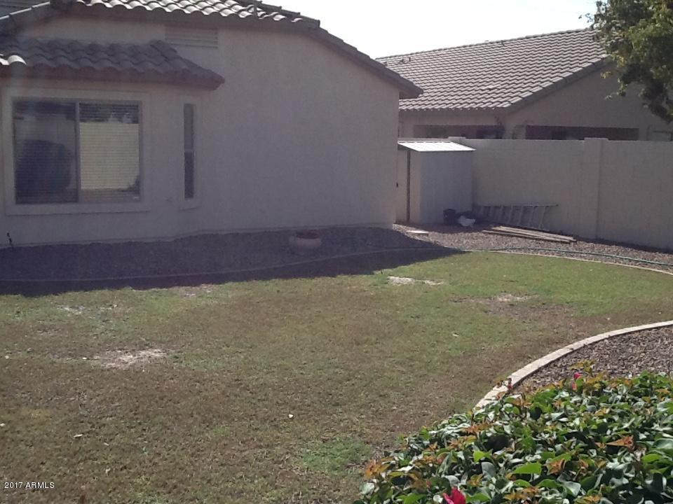 3494 East Hopkins Road Gilbert, AZ 85295 - Photo 13 of 14 Wolf-10