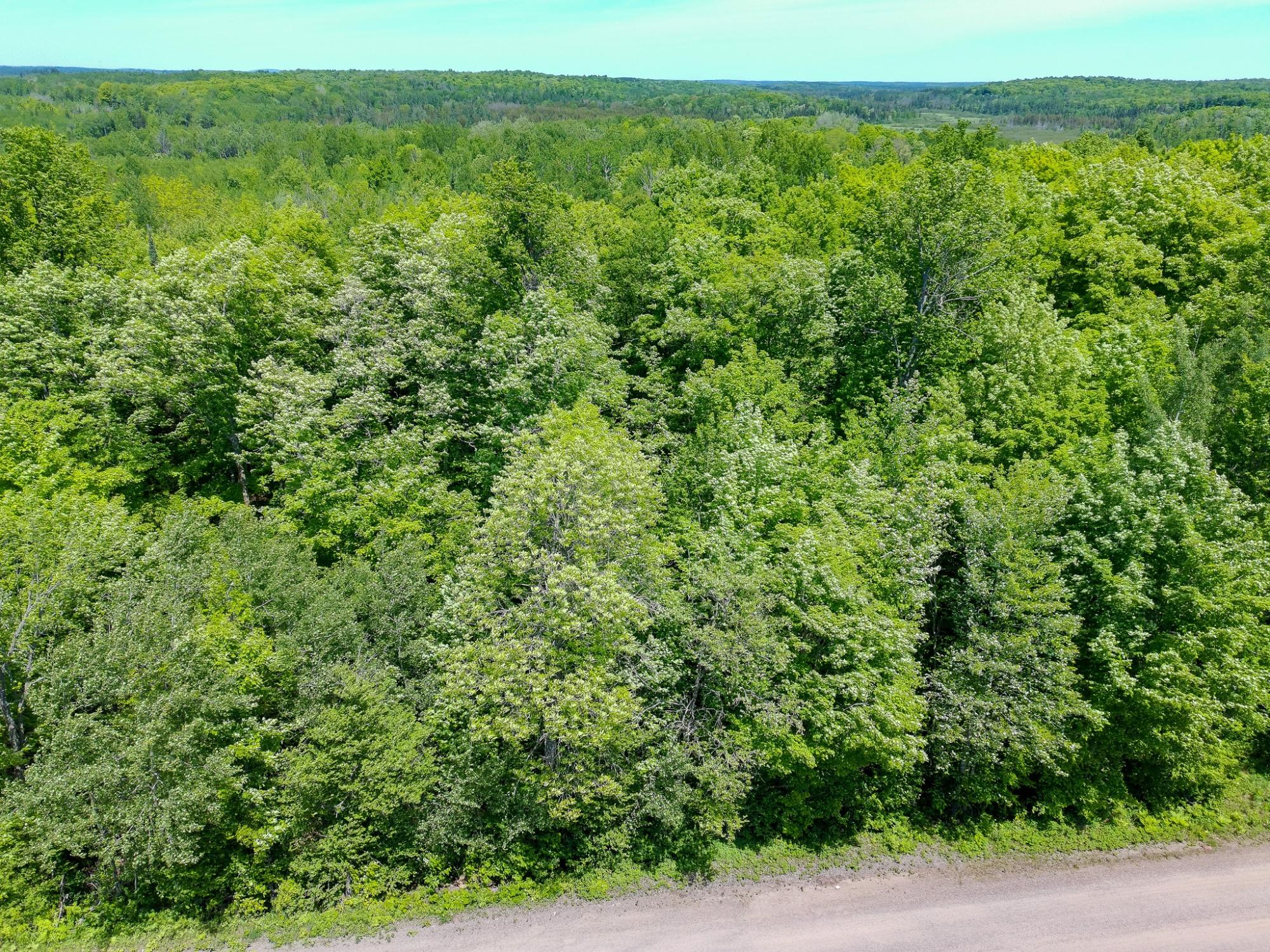 74.40-ac 74.40-ac Neuberger Road, Unit 74 40 Butternut, WI 54514 - Photo 12 of 15 Gallery Image 12