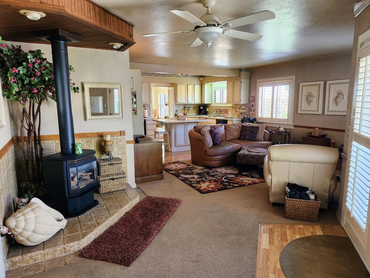 45 Chestnut Street Salinas, CA 93901 - Photo 6 of 23 a living room with furniture fireplace and a potted plant