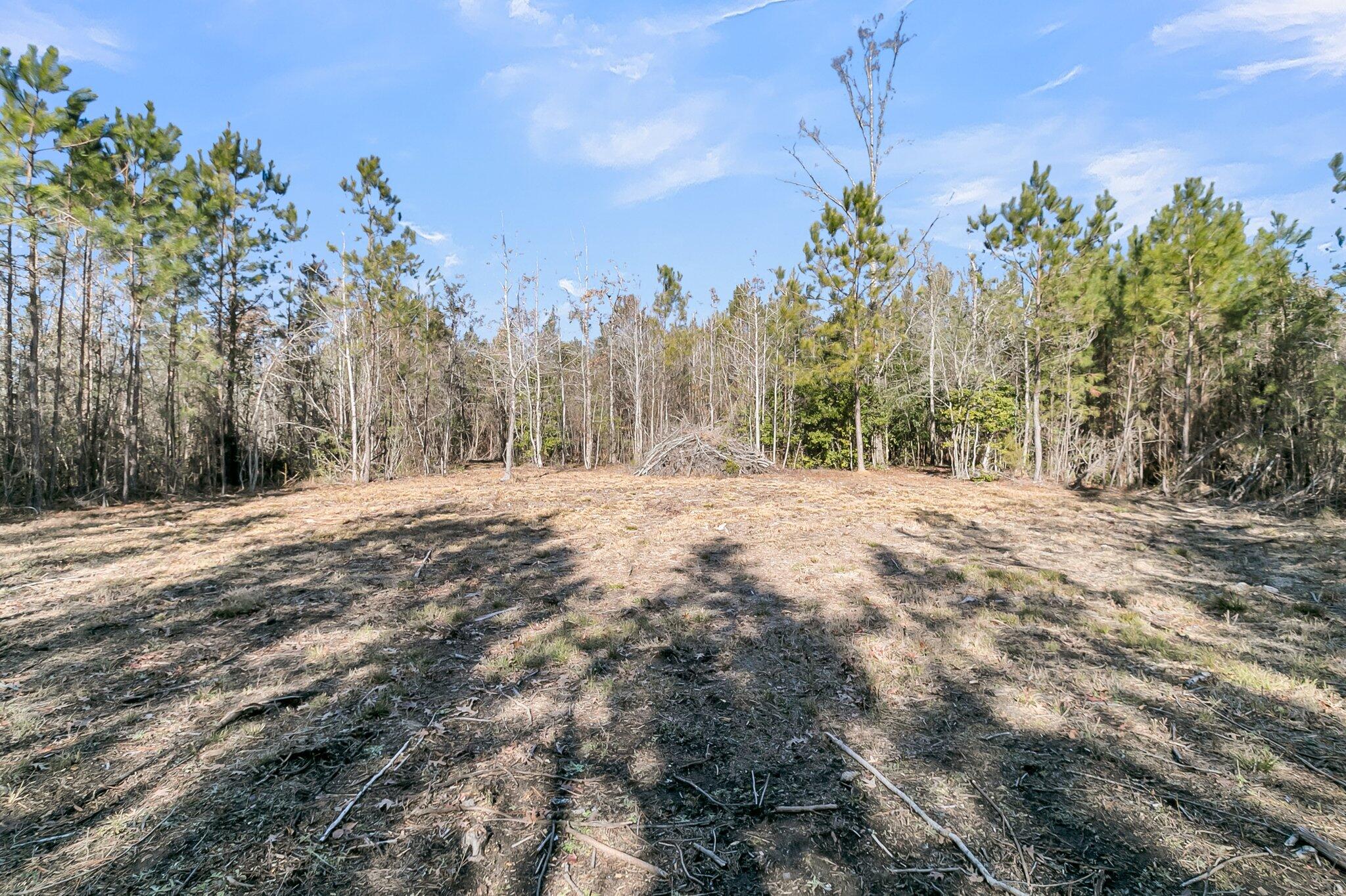 1 Schurlknight Road St. Stephen, SC 29479 - Photo 11 of 25 CREM - 0 Schurlknight Rd-20