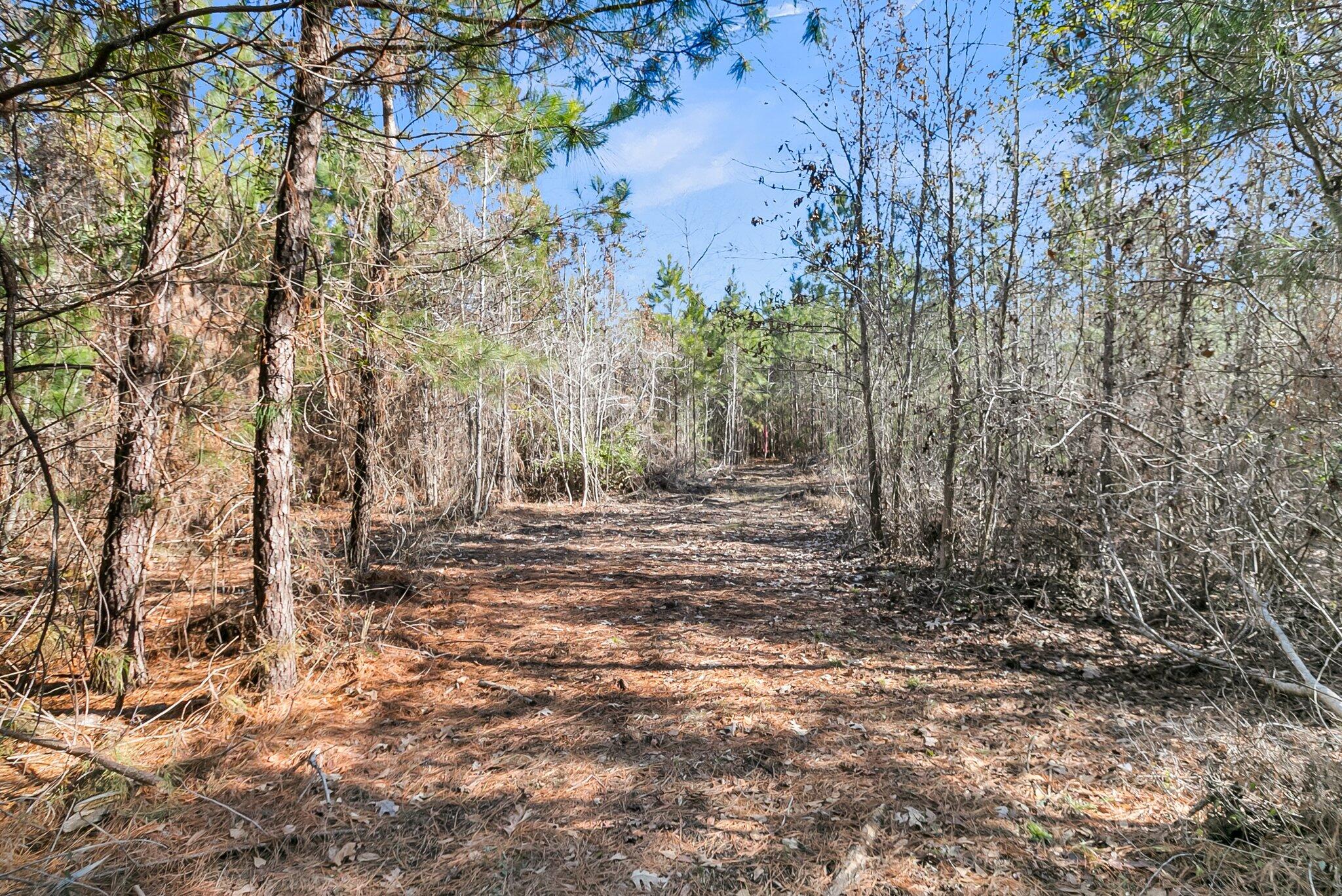 1 Schurlknight Road St. Stephen, SC 29479 - Photo 10 of 25 CREM - 0 Schurlknight Rd-18