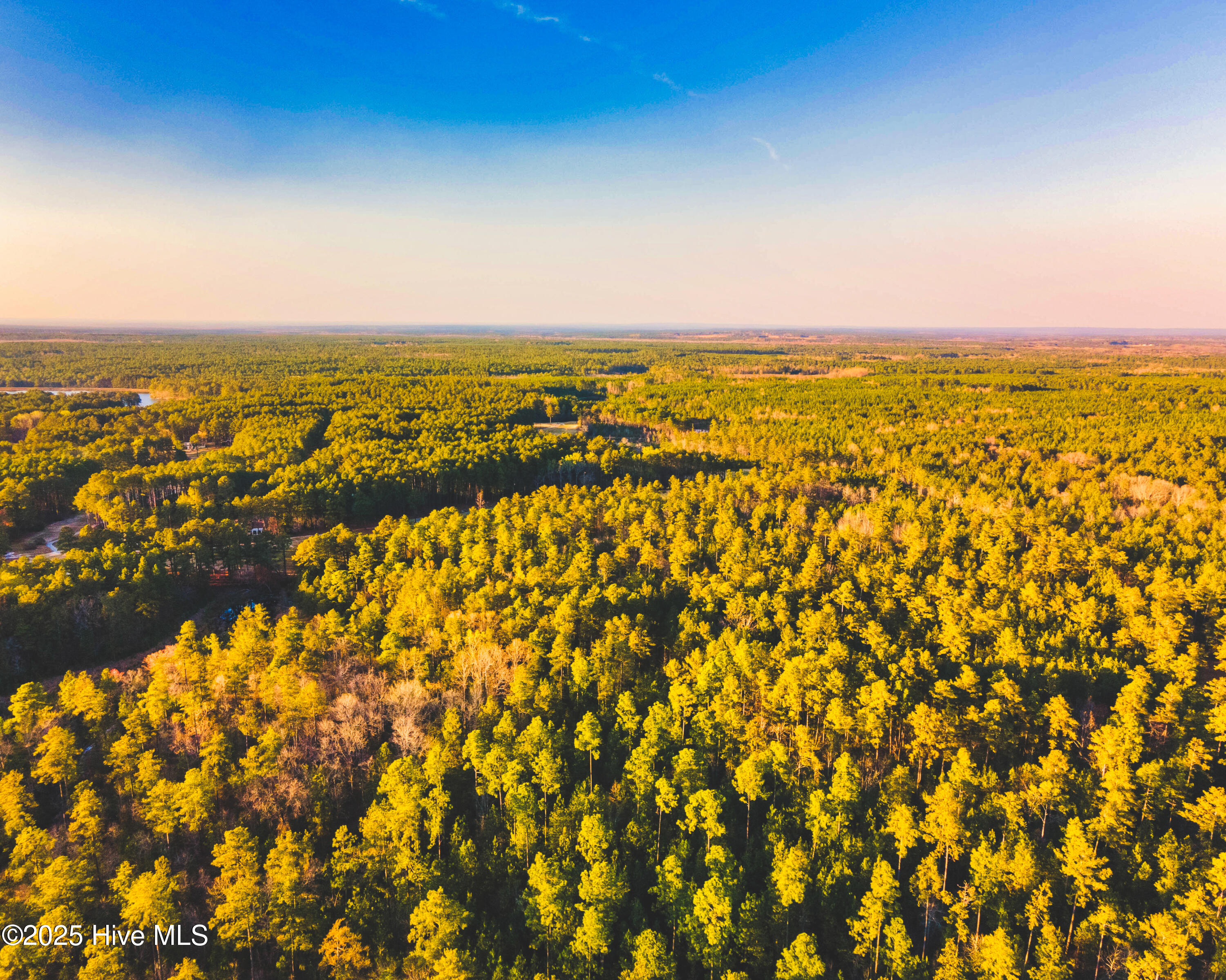 11 Peach Orchard Road Wagram, NC 28396 - Photo 3 of 4 DJI_0781-HDR-Pano