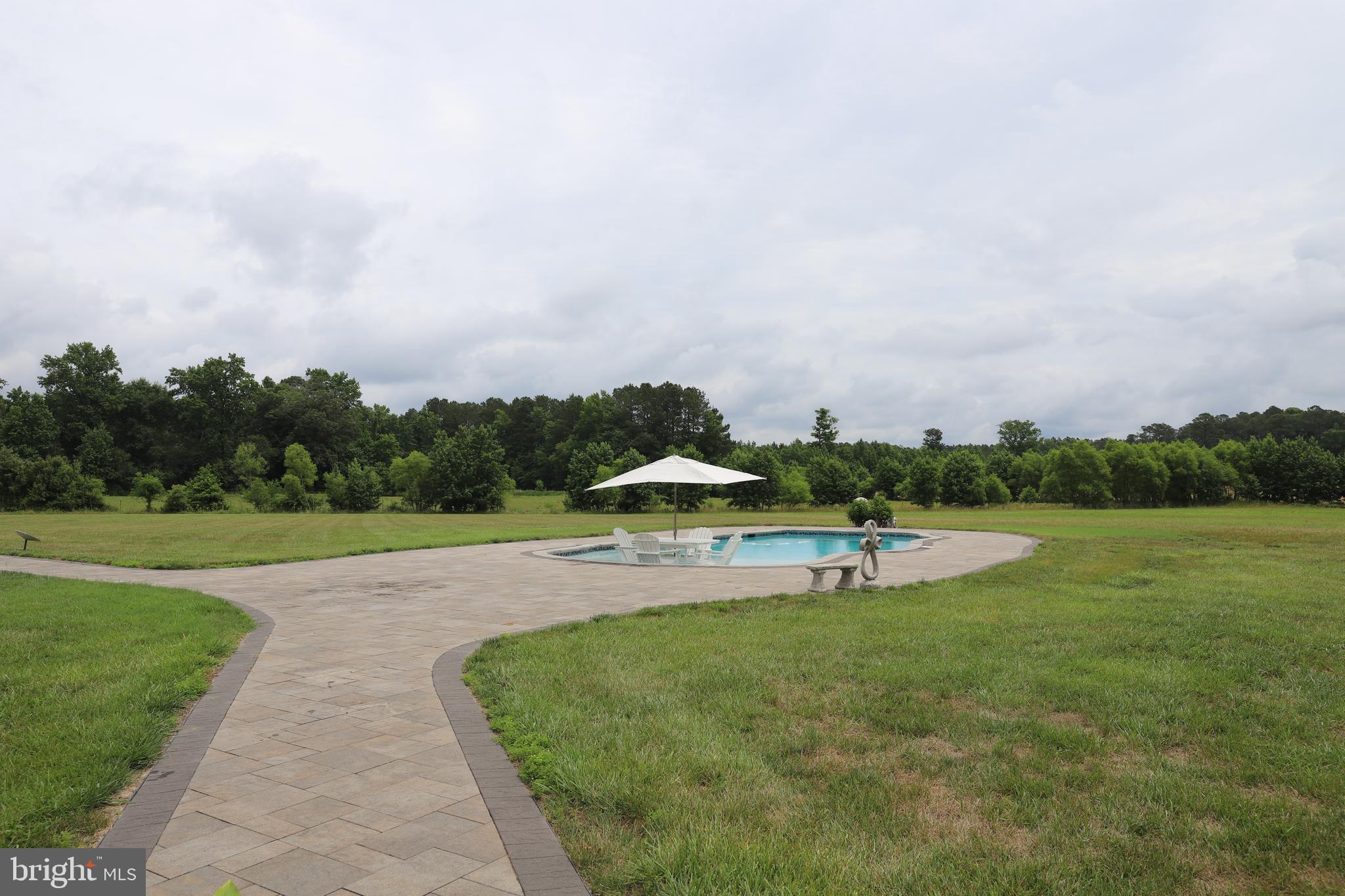 6445-60 Sixty Foot Road Pittsville, MD 21850 - Photo 7 of 43