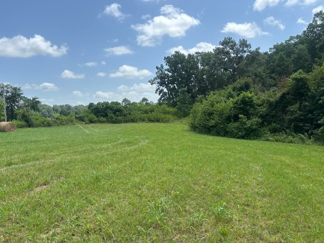 125 Floyd Graves Road Westmoreland, TN 37186 - Photo 3 of 5