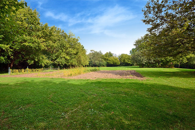 221 Haman Road Barrington, IL 60010 - Photo 6 of 9 a view of outdoor space with a garden and trees in the background