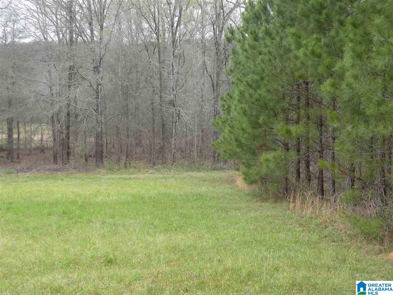 734 Branch Road Alpine, AL 35014 - Photo 29 of 33