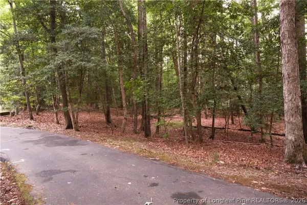 a view of a forest with trees in the background