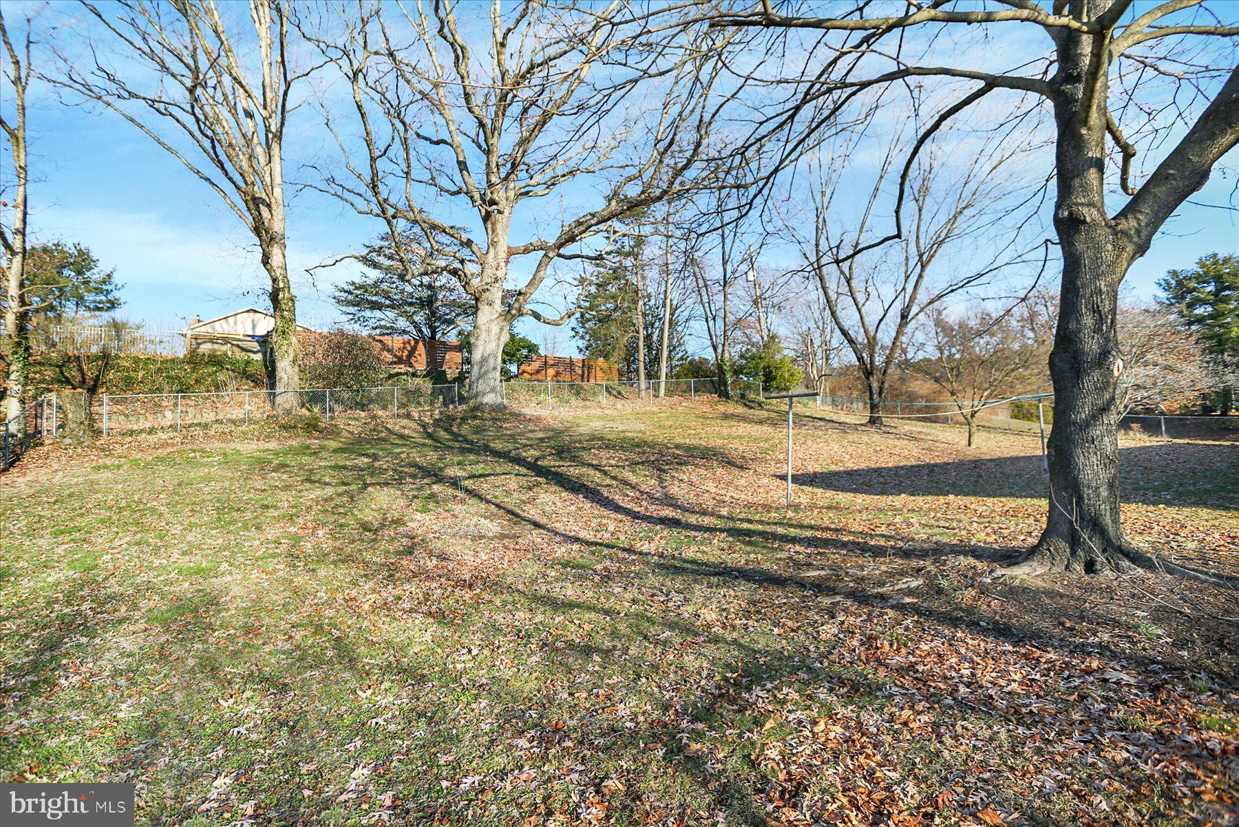 970 Cranes Gap Road Carlisle, PA 17013 - Photo 32 of 48 a view of dirt yard with a large tree