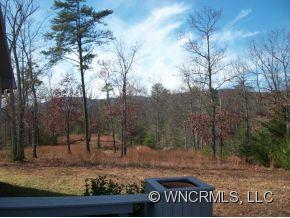 147 Spring Hill Mill Spring Mill Spring, NC 28756 - Photo 10 of 11