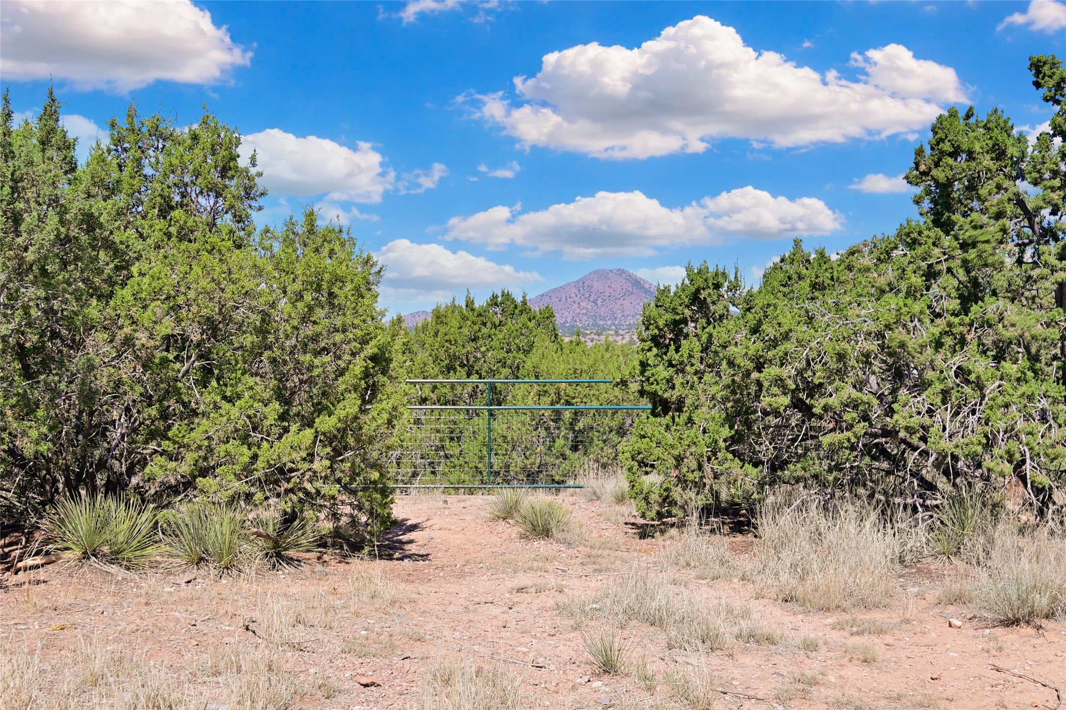 5 Kachina Road Santa Fe, NM 87508 - Photo 24 of 37