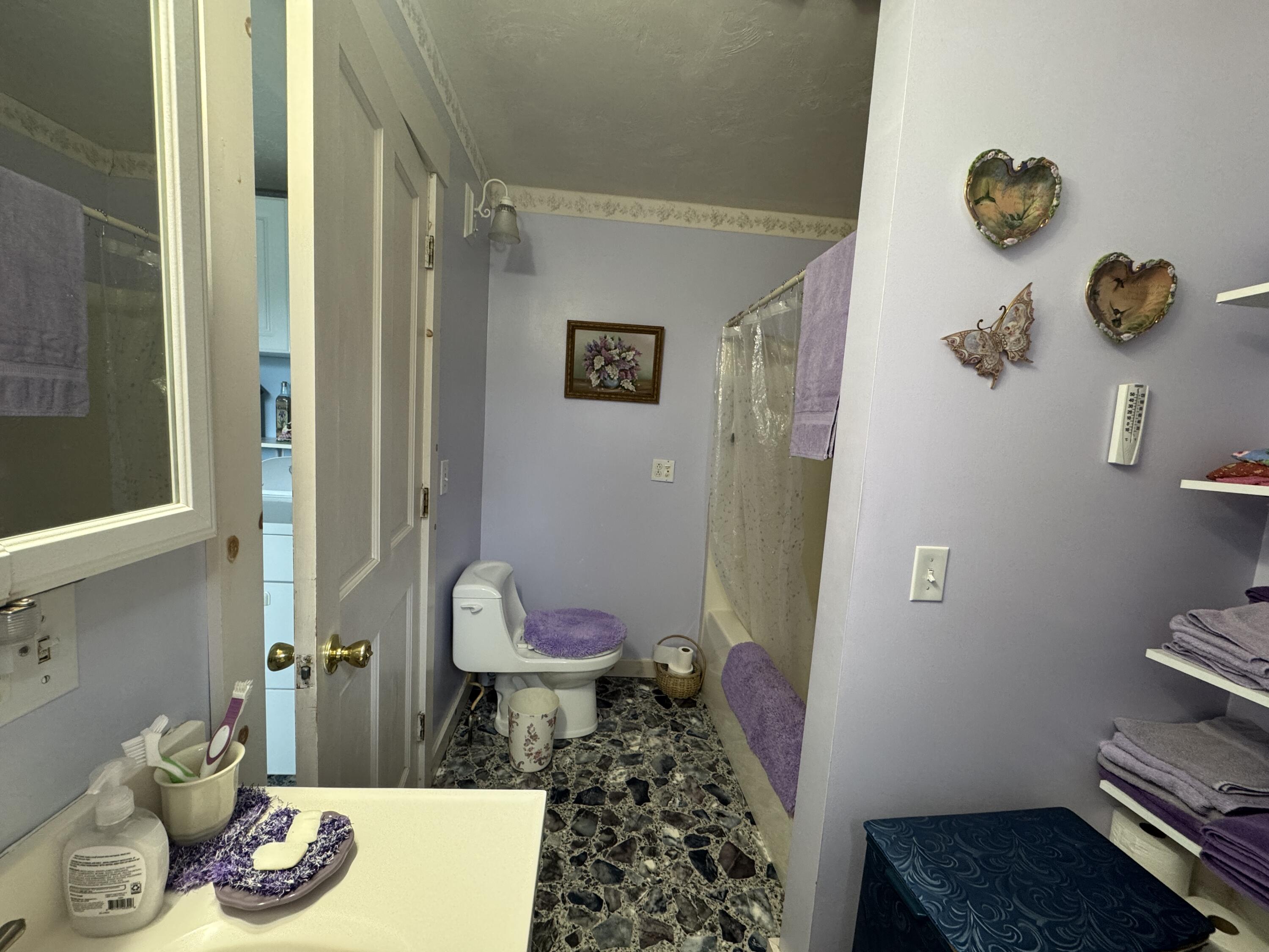 41 South Main Street Guilford, ME 04443 - Photo 13 of 66 IMG_7596