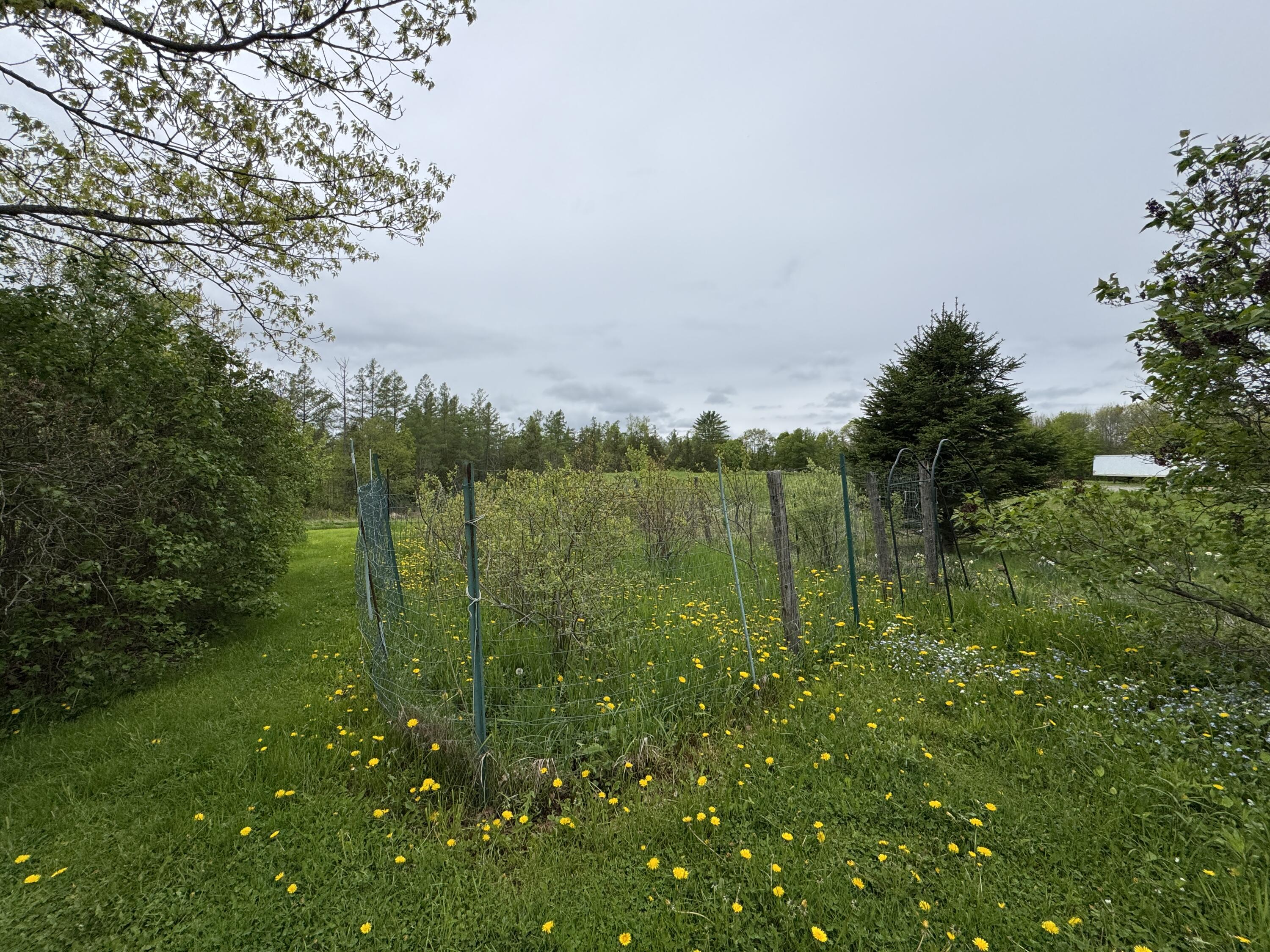 41 South Main Street Guilford, ME 04443 - Photo 53 of 66 IMG_7650