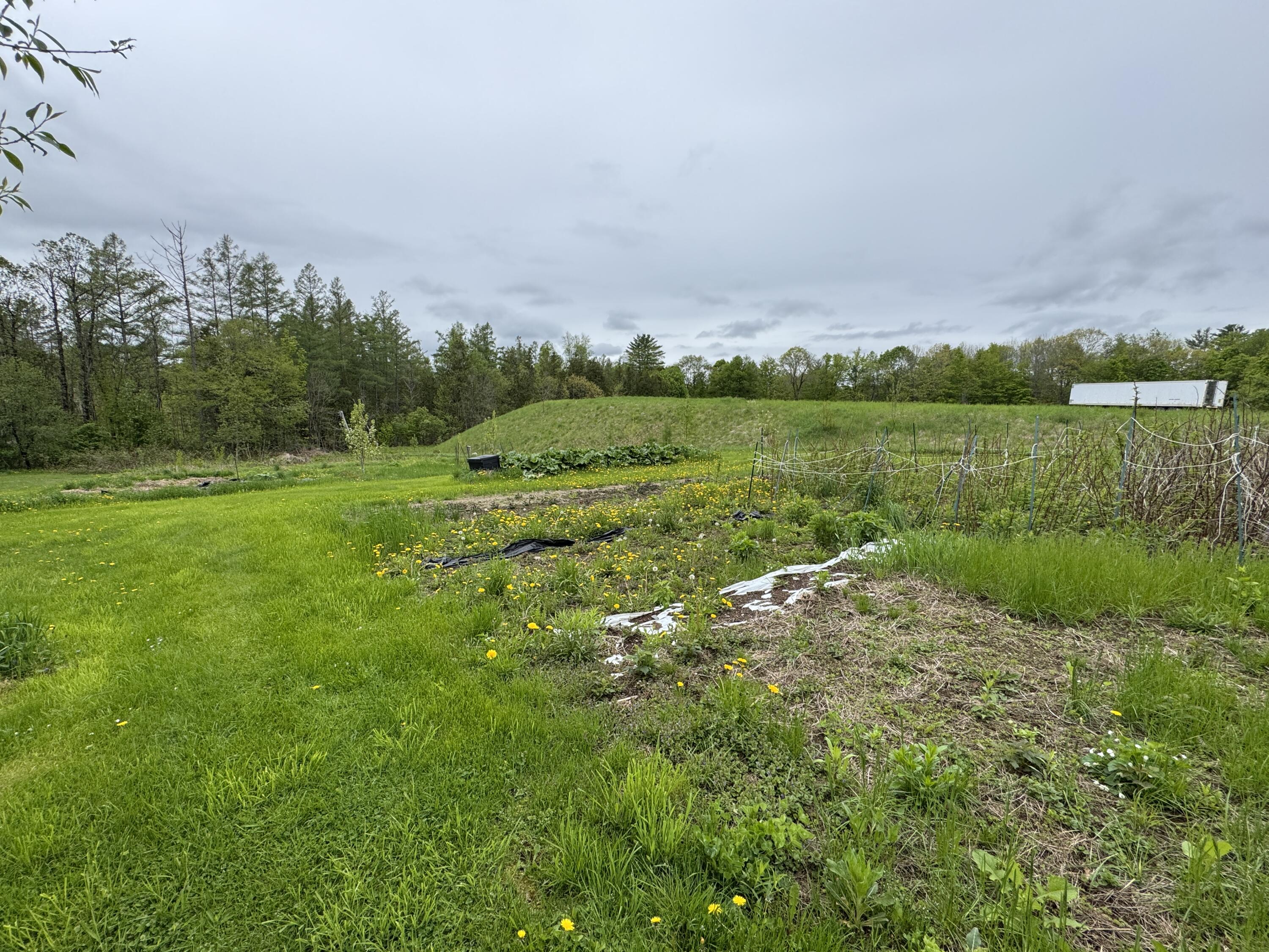 41 South Main Street Guilford, ME 04443 - Photo 55 of 66 IMG_7652