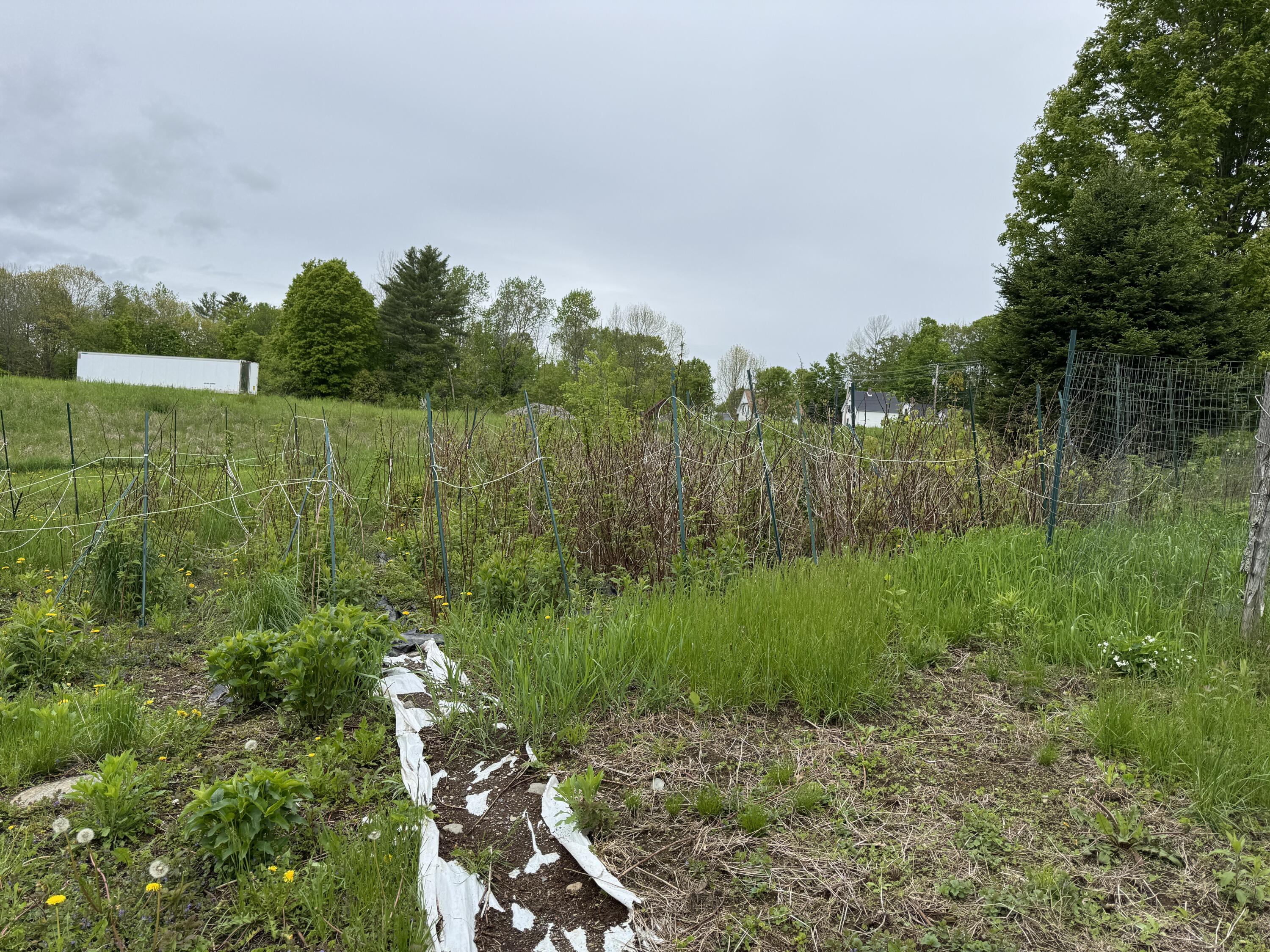 41 South Main Street Guilford, ME 04443 - Photo 57 of 66 IMG_7654