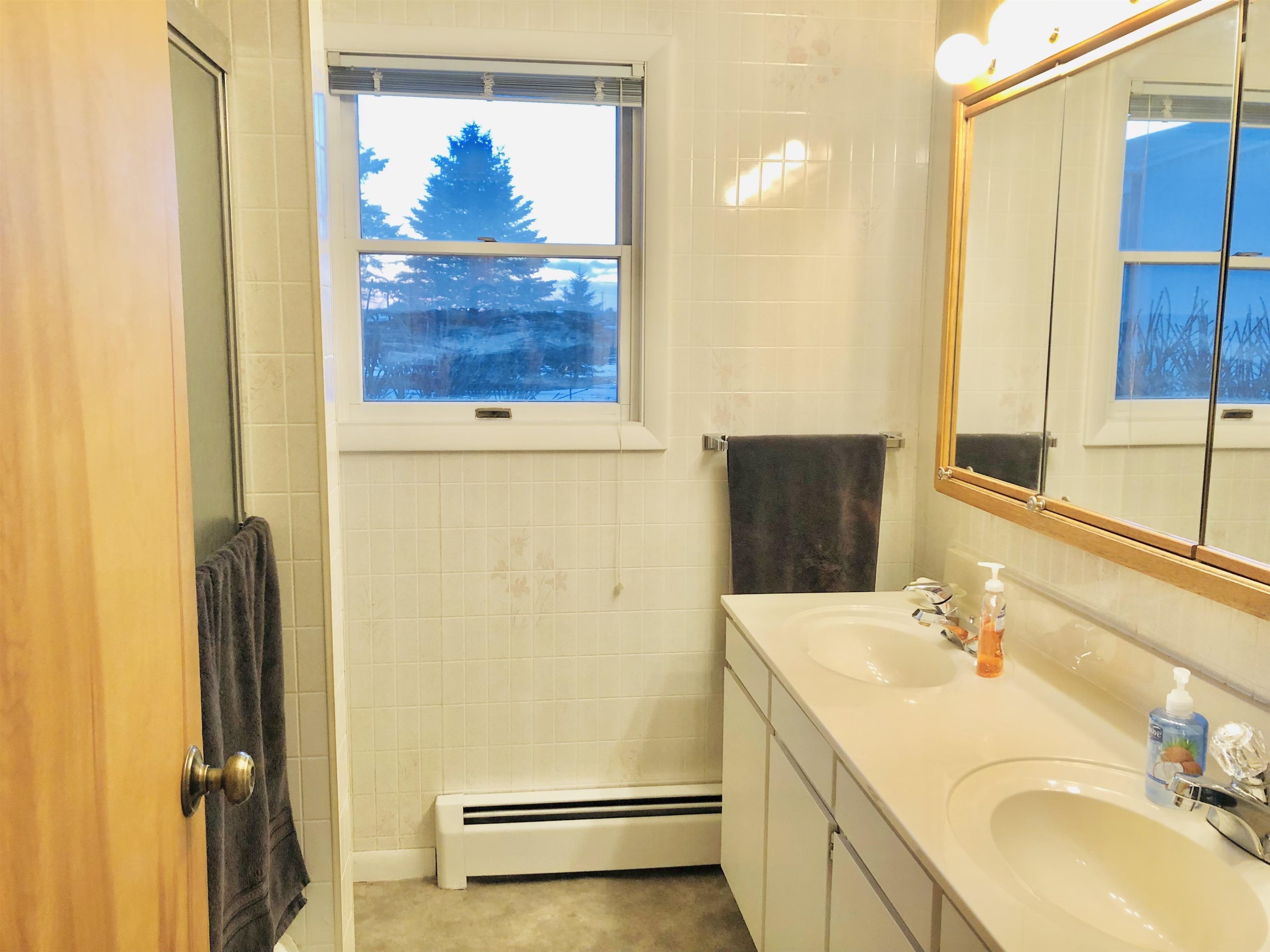 3982 East Jackson Road St. Louis, MI 48880 - Photo 24 of 48 1897010-23.JPG