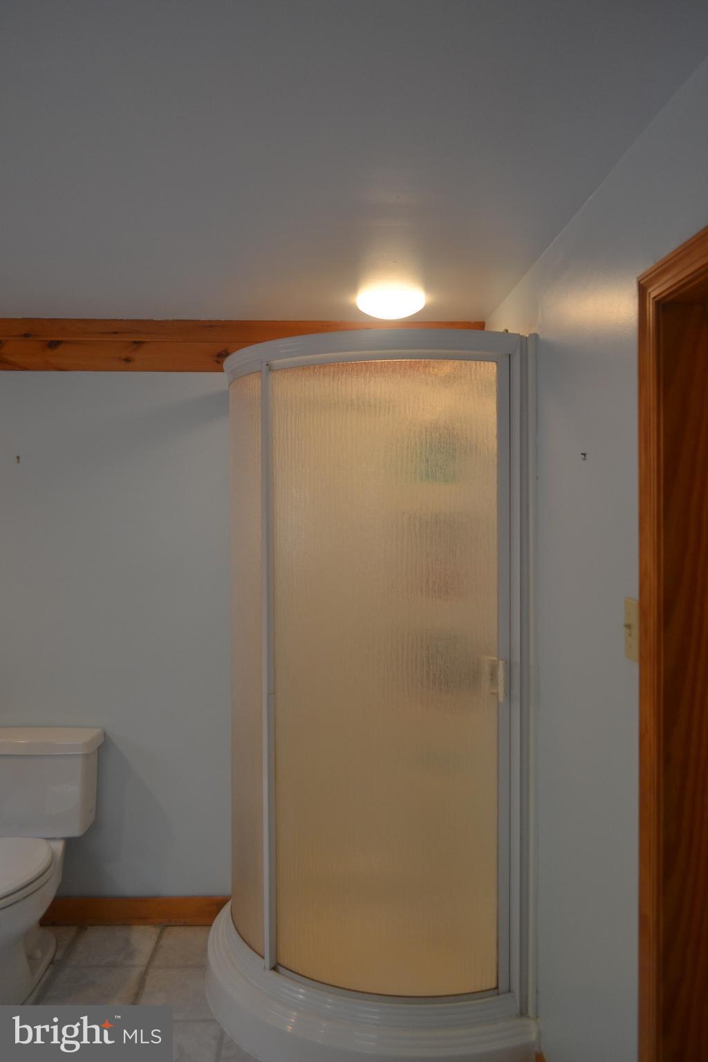 23950 Mt Pleasant Road St. Michaels, MD 21663 - Photo 32 of 38 Separate shower