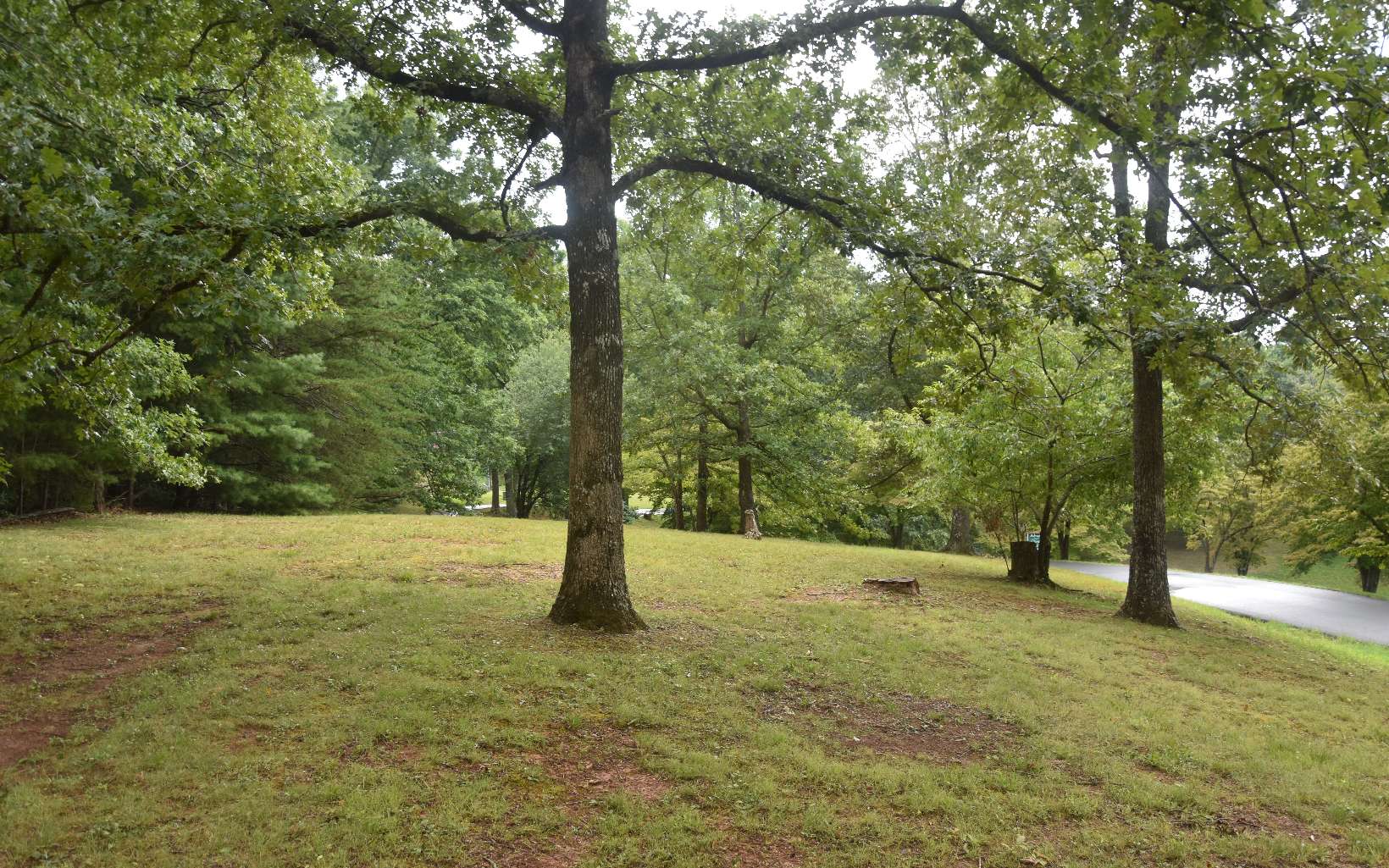 Drake Ridge Drive Hayesville, NC 28904 - Photo 2 of 4 Additional View