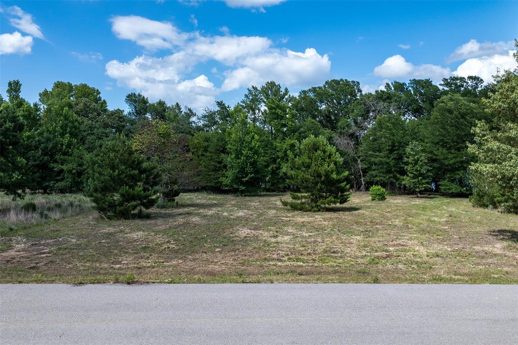 7 Windward Court Athens, TX 75752 - Photo 14 of 22