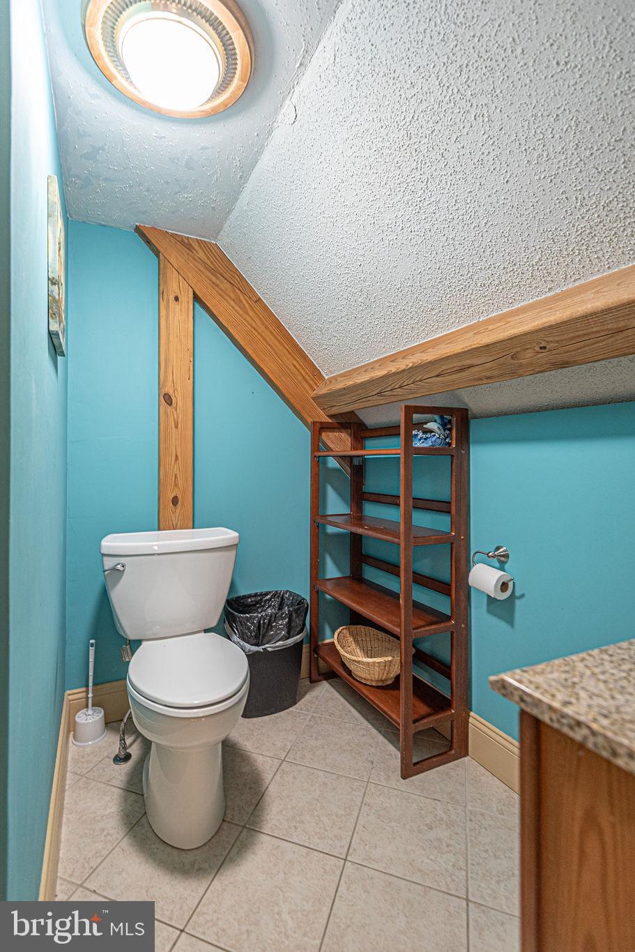 36107 Camp Barnes Road Frankford, DE 19945 - Photo 36 of 83 a bathroom with a toilet and a sink