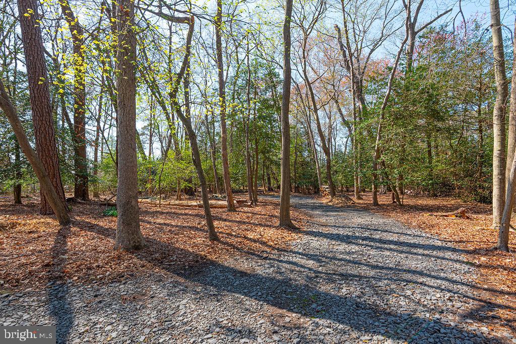 36107 Camp Barnes Road Frankford, DE 19945 - Photo 60 of 83 a view of a yard with trees