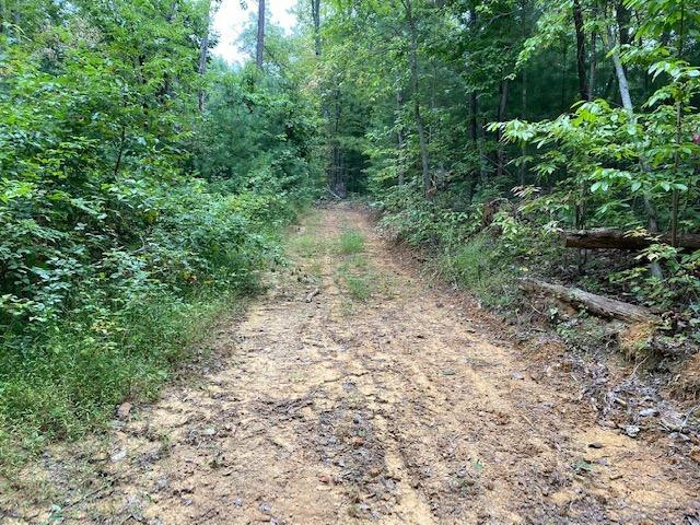 0 Hiram Branch Road Campton, KY 41301 - Photo 4 of 29 Photo 4