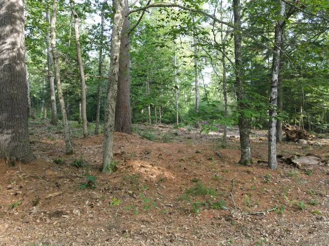 $46,500 | Lot 5 Oak Pond Road, Canaan, ME 04924