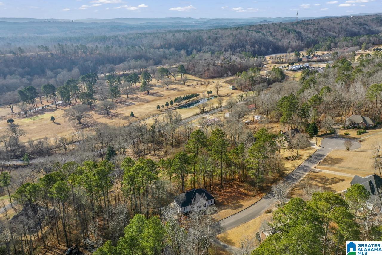 219 Cahaba Ridge Drive Trussville, AL 35173 - Photo 54 of 57