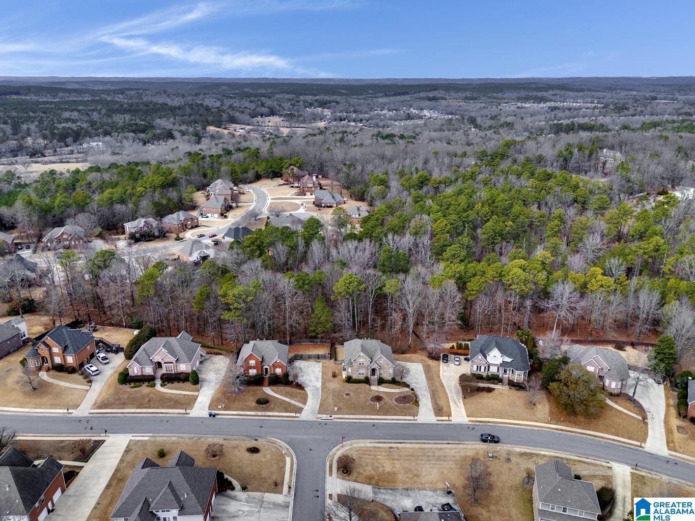 2129 North Grande View Lane Alabaster, AL 35114 - Photo 52 of 58