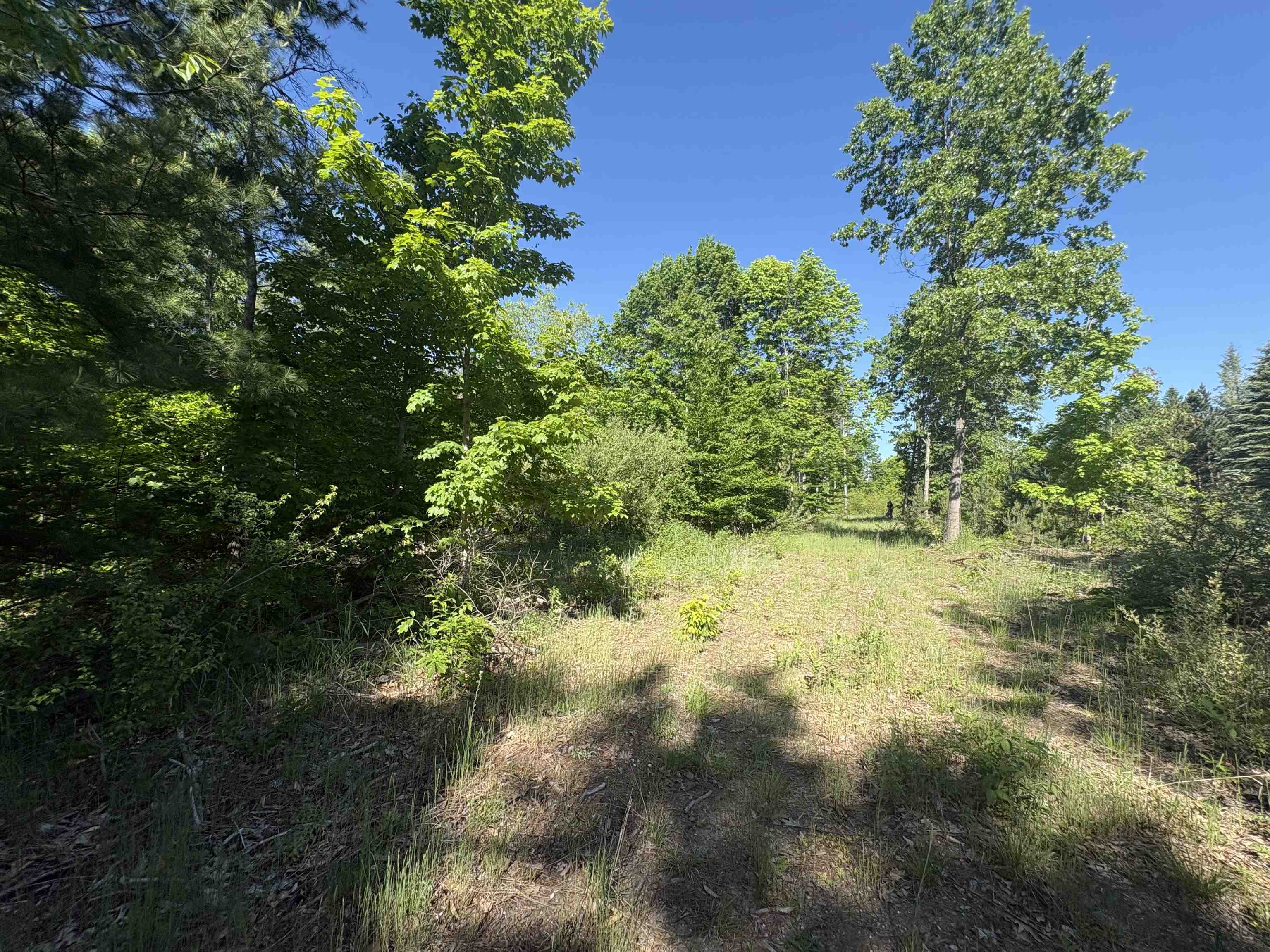 Parcel E St Johns Road Interlochen, MI 49643 - Photo 6 of 11
