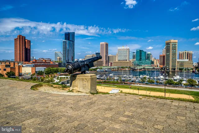 a view of a park with large trees
