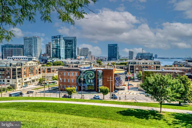 a big yard with lots of green space and palm trees